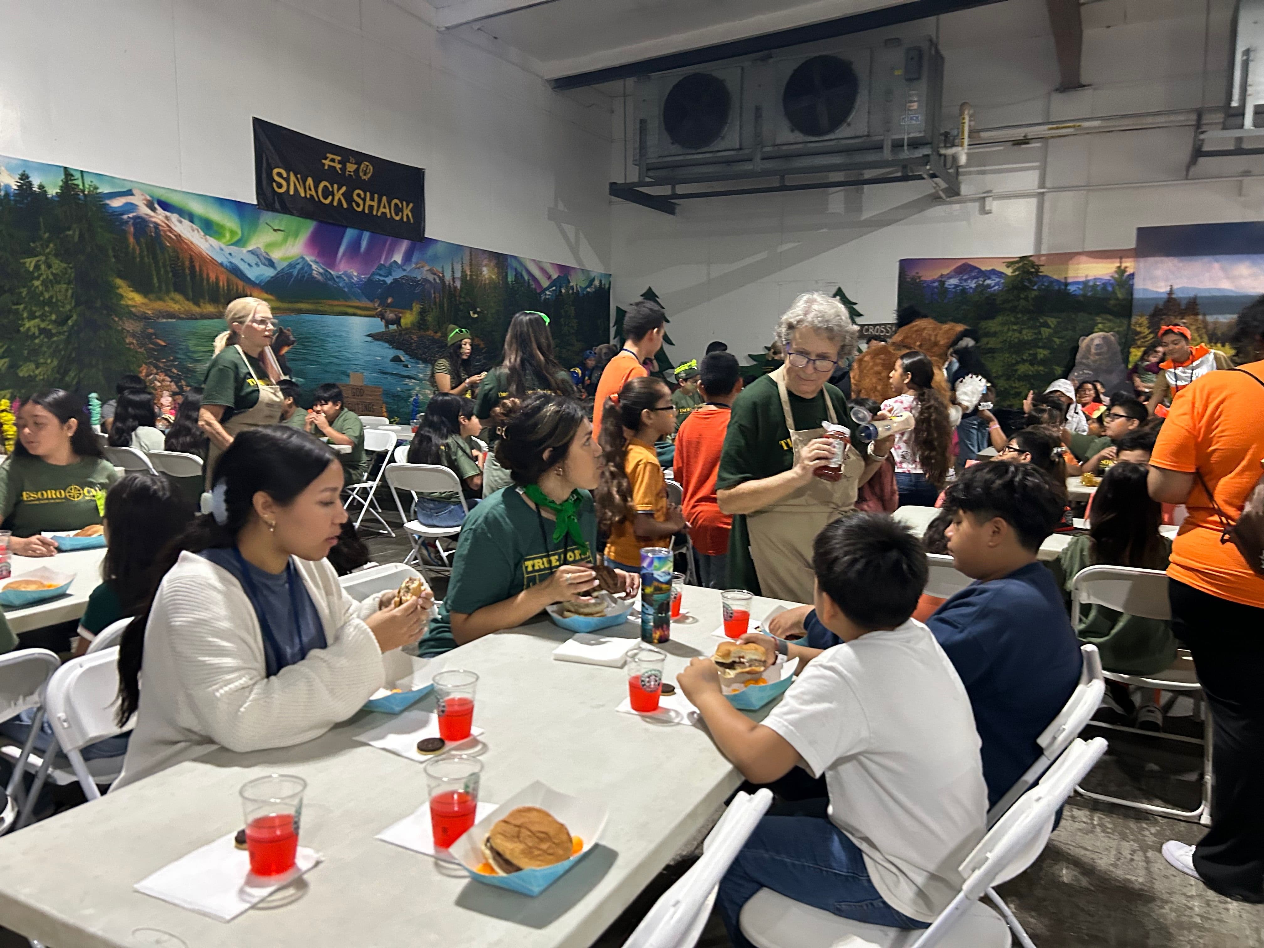 VBS 4